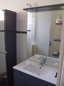 ein Badezimmer mit einem weißen Waschbecken und einem Spiegel in der Unterkunft La Saléve in Agen