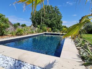 una piscina en un patio con una palmera en La villa du lac d'orient, en Géraudot