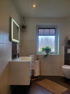 a bathroom with a sink and a toilet and a window at NordseeLiebe - Zeit Für Meer in Bredstedt