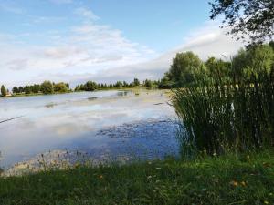 a large body of water with grass and trees at Maison proche Zoo de Beauval in Poulaines
