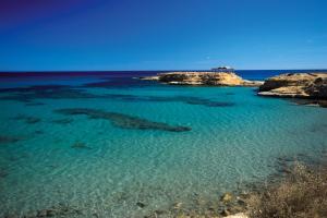 a largeigator swimming in the water near a beach at Hakuna Matata in El Campello