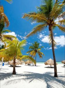 a group of palm trees on a beach at PALM BEACH EN BOCA CHICA in Boca Chica