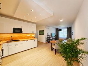 Photo de la galerie de l'établissement 3 room Apartment 2x balcony, new building, 21, à Bratislava