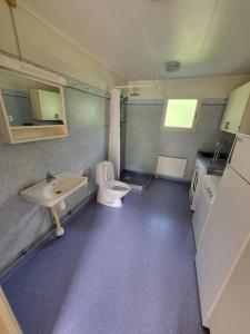 a small bathroom with a toilet and a sink at Stugby Marieke - Skärvången in Föllinge