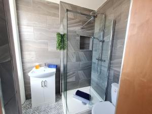 a bathroom with a shower and a sink and a toilet at Blue Cheetah Lemur Lodge in Bournemouth