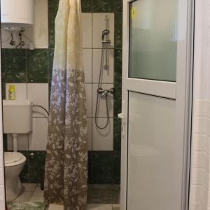 a bathroom with a shower curtain and a toilet at Őrségi Mazsola Vendégház in Őriszentpéter