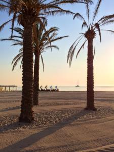 two palm trees on a beach with a boat in the water at B&B San Vito in San Vito lo Capo