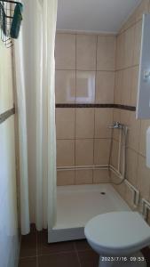 y baño con ducha, aseo y cortina de ducha. en Apartman Stara Trešnja, en Kladovo
