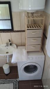 a bathroom with a washing machine and a sink at Apartman Stara Trešnja in Kladovo