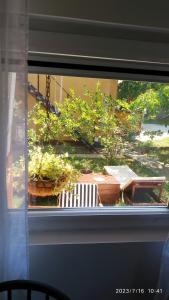 una ventana con vistas a un jardín con plantas y un banco en Apartman Stara Trešnja en Kladovo