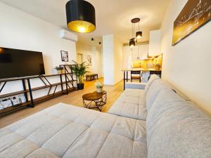 TV a/nebo společenská místnost v ubytování 2 room Apartment, new building, Bosákova street, 29