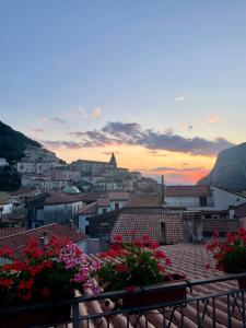 a view of a city at sunset with flowers at Blasu Home in Maratea +6 photos