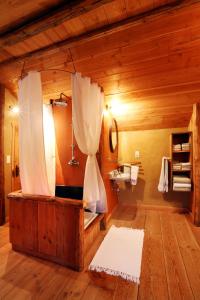 een badkamer met een douche in een houten cabine bij Le Fournil de Hourt in Vielsalm