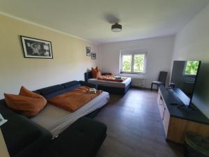 a living room with a couch and a television at Neumühler Hof Ferienwohnung "Stefan" bietet 4 Schlafzimmer und 4 Bäder , eine Große Badewanne und großer Terrasse zum Garten, kostenfreie Parkmöglichkeiten in Schwerin