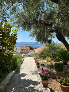 a walkway in a garden with flowers in pots at Apartments Pina in Bol