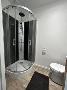 ein Badezimmer mit Glasdusche und Toilette in der Unterkunft Appartement avec terrasse in Mussidan
