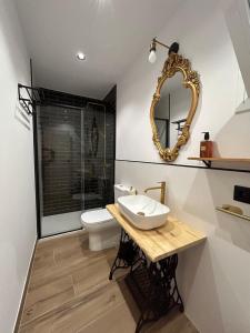 bagno con lavandino, servizi igienici e specchio di Apartamentos Casa el Gorras a Cordoba