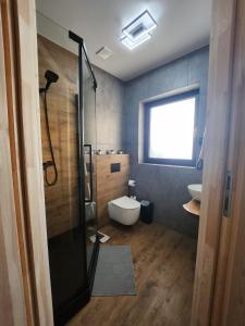 Czerwienne的住宿－Domek Pod Laskiem，带淋浴、卫生间和盥洗盆的浴室