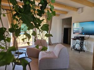 TV a/nebo společenská místnost v ubytování Stancija LotteGaly - GREEN holiday