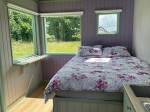 a bedroom with a bed and two windows at Market Street Shepherd's Hut Leitrim in Drumahayre
