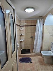 ein Bad mit einer Dusche und einem WC in der Unterkunft George's Guest House in Chania