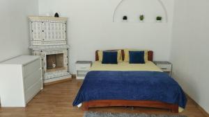 ein Schlafzimmer mit einem Bett und einem Kamin in der Unterkunft Apartments Anna in Lwiw