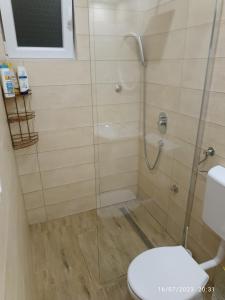 Koupelna v ubytování Apartman Boračko jezero LOTUS