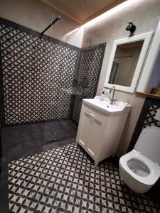 een badkamer met een wastafel, een toilet en een douche bij Vila Braun in Horní Maršov