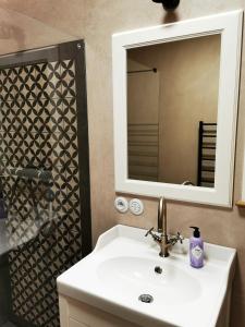 a bathroom with a sink and a mirror and a shower at Vila Braun in Horní Maršov