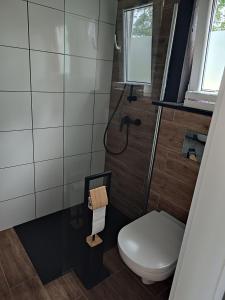 a small bathroom with a toilet and a shower at Domek nad stawem z banią in Brodnica