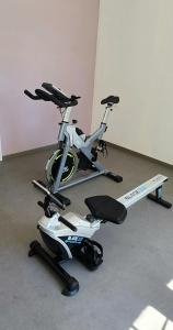 Fitness centrum a/nebo fitness zařízení v ubytování "L'OSTAU", GRAND APPARTEMENT 84 m2 AVEC JARDIN, PISCINE, SALLE DE SPORT