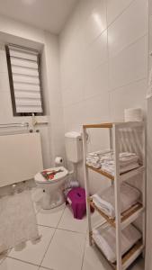 a bathroom with a toilet and a shelf with towels at Apartman Roses in Zagreb +18 photos