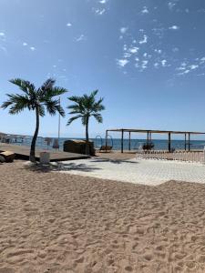 dos palmeras en una playa de arena junto al océano en Palm Beach Issyk Kul VIP30/3, en Chok-Tal