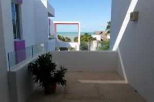 a stairway with a potted plant and a window at An amazing stay in Progreso, close to everything in Progreso