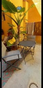 Patio alebo iná vonkajšia časť ubytovania le J&J Appartement spacieux climatisé en centre ville