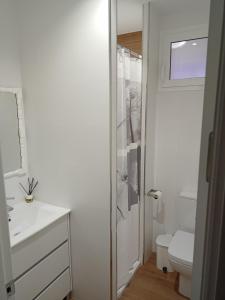 La salle de bains blanche est pourvue de toilettes et d'un lavabo. dans l'établissement Apartamento_Santa Isabel, à Utrera