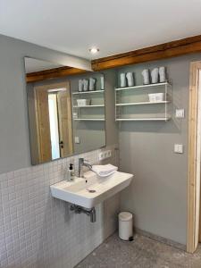 een badkamer met een wastafel en een spiegel bij Ferienwerk in Ofterschwang