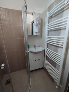 La salle de bains est pourvue d'une douche et d'un lavabo. dans l'établissement Stella Apartman, à Hajdúszoboszló