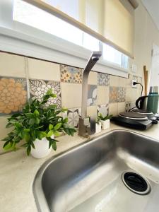 um lavatório numa cozinha com plantas no balcão em *Viejo Refugio* em Tandil