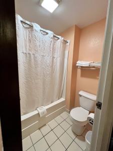 ein Bad mit einem WC und einer Dusche in der Unterkunft FairBridge Inn Express Mount Vernon in Mount Vernon
