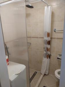 een badkamer met een douche en een toilet bij Kod bake u centru in Novi Sad