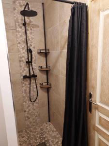 y baño con ducha y cortina de ducha. en maison d'hôtes labastide en Villenave