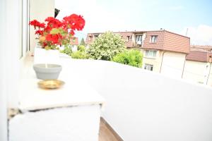 a vase with red flowers sitting on a window sill at Dreambed 2 in Baia Mare