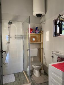 ein Bad mit einer Dusche, einem WC und einem Waschbecken in der Unterkunft Flower villa in Tivat