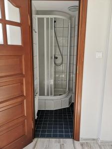een badkamer met een douche en een glazen deur bij Apartament Wodna Ostoja z pokojem zabaw in Buczki