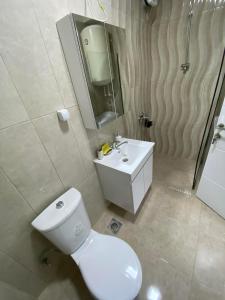 La salle de bains est pourvue de toilettes, d'un lavabo et d'un miroir. dans l'établissement Oki doki 2, à Bitola