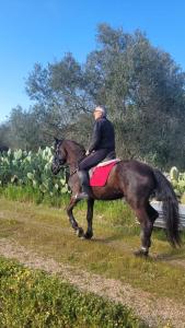 um homem montado num cavalo num campo em La Macchia em Botrugno