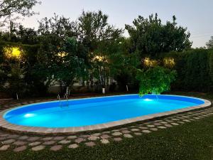 a large blue swimming pool in a yard at Villa Jardin - Novosel in Novosel