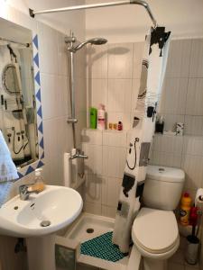 W łazience znajduje się toaleta, umywalka i prysznic. w obiekcie House with Wonderful View w mieście Chalkida