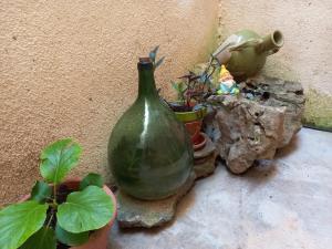 un jarrón verde sentado junto a algunas plantas y rocas en Casa Esteban, en Vilanova de la Reina (Villanueva de Viver)